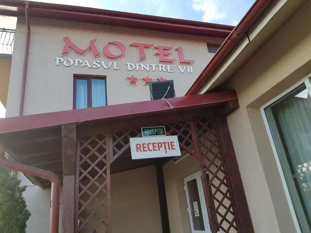 Отель Popasul Dintre Vii Motel Restaurant Popeşti-26